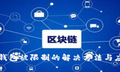 区块链钱包被限制的解决方法与应对策略