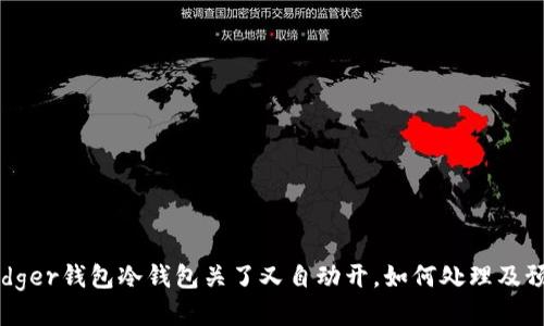 Ledger钱包冷钱包关了又自动开，如何处理及预防