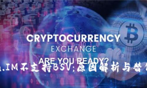 Token.IM不支持BSV：原因解析与替代方案