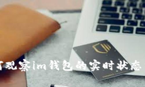 tp钱包如何观察im钱包的实时状态与交易记录