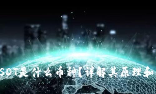 : USDT是什么币种?详解其原理和应用