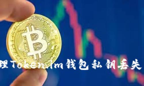 如何处理Token.im钱包私钥丢失的情况?