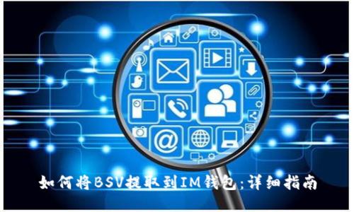 如何将BSV提取到IM钱包:详细指南