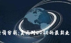 狗狗币今日行情分析：美