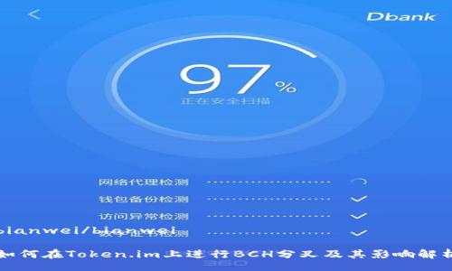 bianwei/bianwei

如何在Token.im上进行BCH分叉及其影响解析