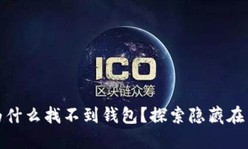 : 区块链为什么找不到钱包?探索隐藏在背后的原因
