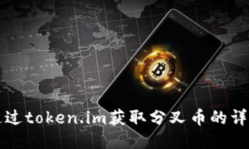 如何通过token.im获取分叉币的详细指南