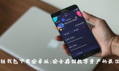 区块链钱包下载安卓版:安全存储数字资产的最佳选择