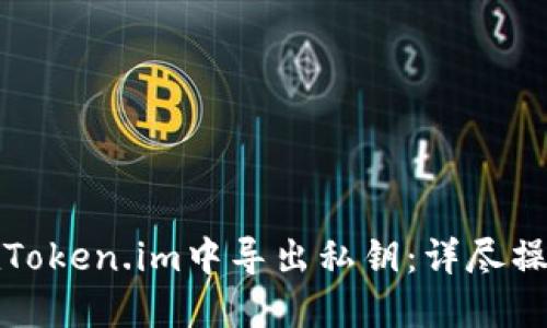 如何在Token.im中导出私钥:详尽操作指南