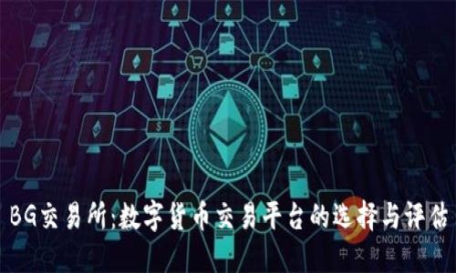 BG交易所:数字货币交易平台的选择与评估