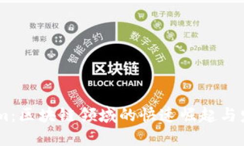 Token.im:区块链领域的快速崛起与发展现状