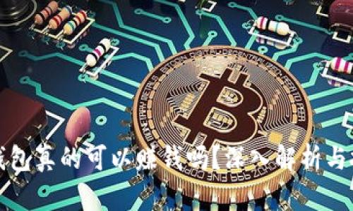 区块链钱包真的可以赚钱吗？深入解析与投资策略