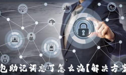 
token.im钱包助记词忘了怎么办？解决方案及注意事项