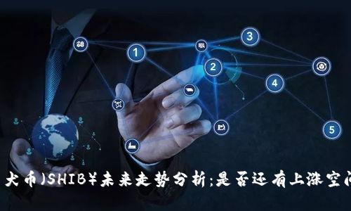 柴犬币（SHIB）未来走势分析：是否还有上涨空间？