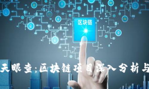 token.im天眼查：区块链项目深入分析与风险评估