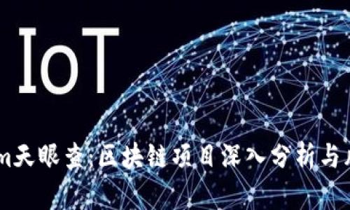 token.im天眼查：区块链项目深入分析与风险评估