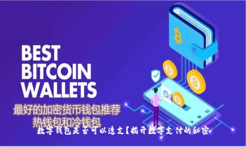 数字钱包是否可以透支？揭开数字支付的秘密