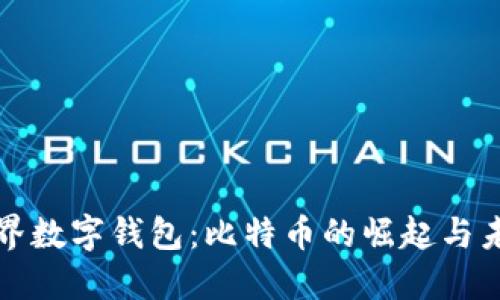 世界数字钱包：比特币的崛起与未来