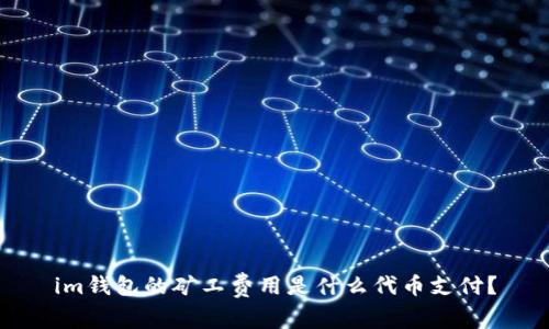 im钱包的矿工费用是什么代币支付？