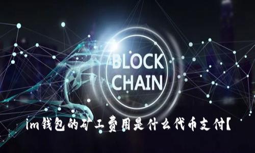 im钱包的矿工费用是什么代币支付？