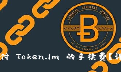 如何支付 Token.im 的手续费？详尽指南