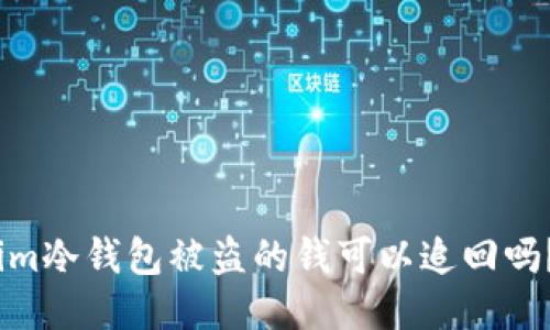 im冷钱包被盗的钱可以追回吗？