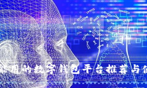 国内还能用的数字钱包平台推荐与使用指南