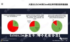 token.im和麦子：哪个更适合