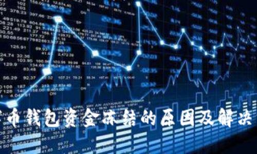 数字币钱包资金冻结的原因及解决方案
