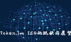 Token.im ICO的现状与展望