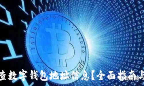 怎么查数字钱包地址信息?全面指南与技巧