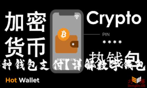 数字货币用哪种钱包支付？详解数字钱包的种类与选择