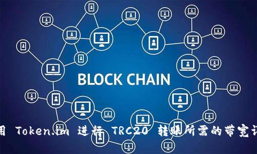使用 Token.im 进行 TRC20 转账所需的带宽详解