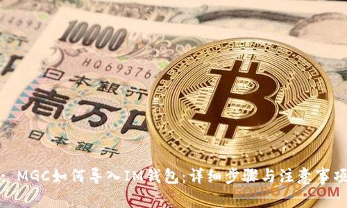 : MGC如何导入IM钱包：详细步骤与注意事项