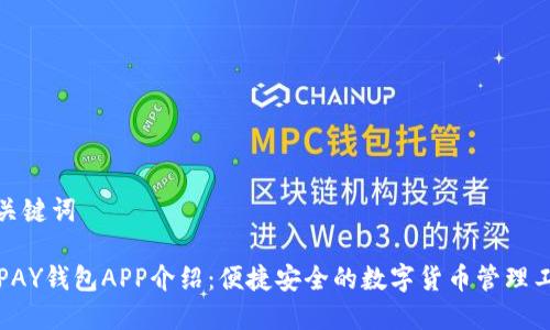 和关键词
TOPAY钱包APP介绍:便捷安全的数字货币管理工具