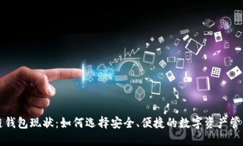 区块链钱包现状:如何选择安全、便捷的数字资产管理工具