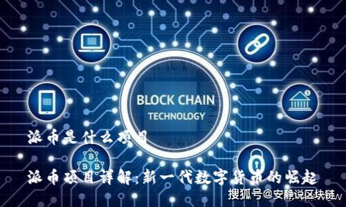 派币是什么项目

派币项目详解：新一代数字货币的崛起