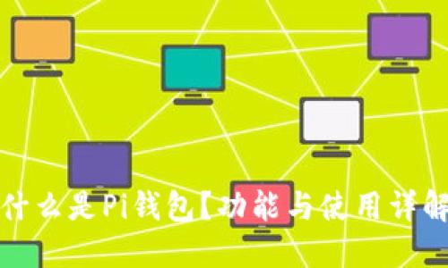 什么是Pi钱包?功能与使用详解