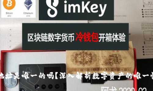 Token.im地址是唯一的吗?深入解析数字资产的唯一性与安全性