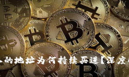 虚拟币排名第二的地址为何持续买进?深度解析与市场影响