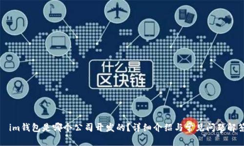 im钱包是哪个公司开发的?详细介绍与常见问题解答