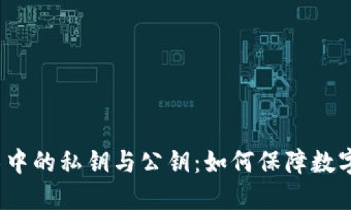  区块链技术中的私钥与公钥：如何保障数字钱包的安全