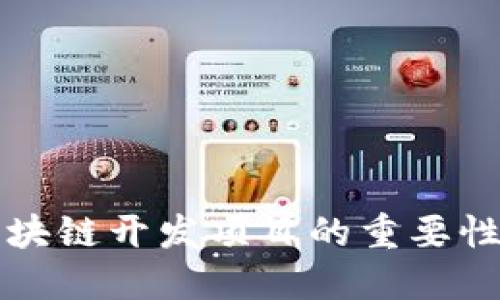 深入了解区块链开发项目的重要性与实践指南