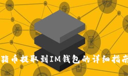 猪币提取到IM钱包的详细指南