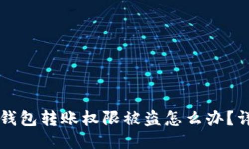 : token.im钱包转账权限被盗怎么办?详细处理指南