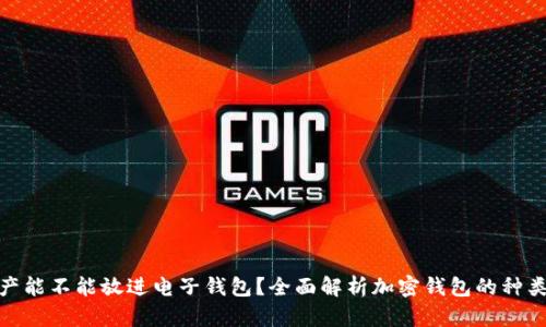 : 加密资产能不能放进电子钱包?全面解析加密钱包的种类与安全性