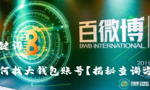 题目和关键词
区块链如何找大钱包账号?揭秘查询方法及技巧