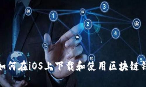 : 如何在iOS上下载和使用区块链钱包