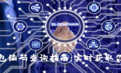 数字货币钱包编码查询指南:实时获取你的钱包地址