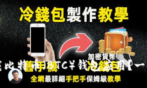 如何下载比特币(BTC)钱包应用?一站式指南